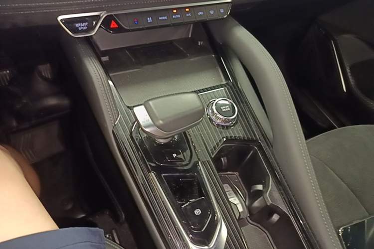 Used Geely Auto Monjaro L 2024 2.0TD High-Power Automatic Two-Wheel Drive Skyline Edition Gear Lever