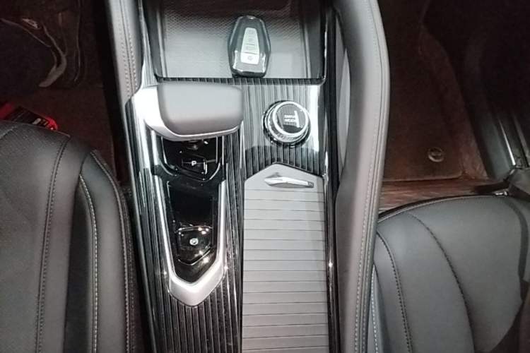 Used Geely Auto Monjaro L 2024 2.0TD DCT EVO Two-Wheel Drive Long-Range Version Gear Lever