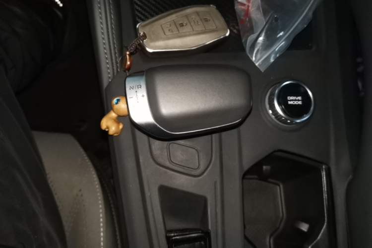 Used Geely Auto Monjaro L 2024 2.0TD High-Power Automatic Two-Wheel Drive Skyline Edition Gear Lever