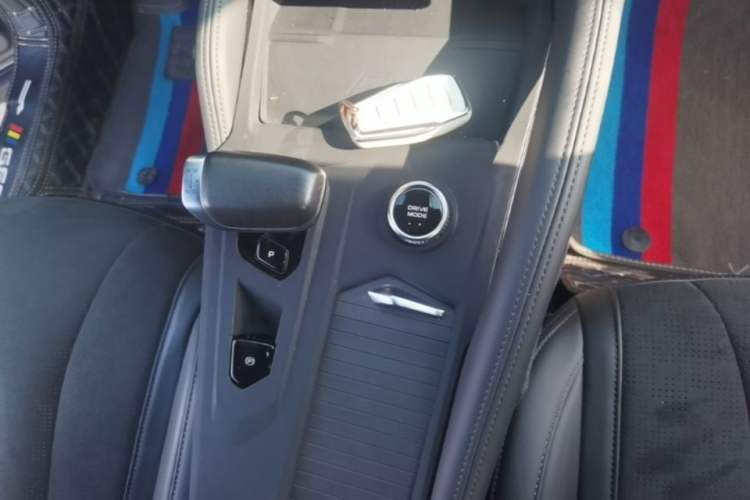 Used Geely Auto Monjaro L 2024 2.0TD High-Power Automatic Two-Wheel Drive Skyline Edition Gear Lever