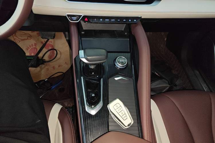 Used Geely Auto Monjaro L 2024 2.0TD High-Power Automatic Two-Wheel Drive Yunqi Version Gear Lever