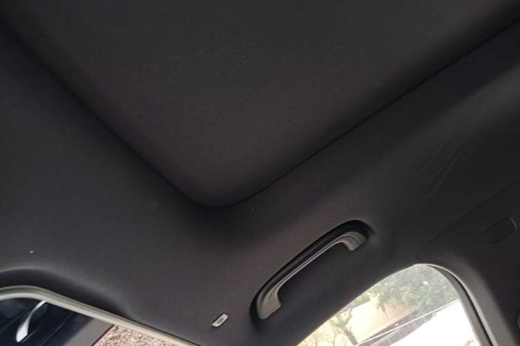 Used Geely Auto Monjaro L 2024 2.0TD DCT EVO Two-Wheel Drive Long-Range Version Headliner