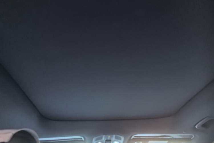 Used Geely Auto Monjaro L 2024 2.0TD DCT EVO Two-Wheel Drive Long-Range Version Headliner