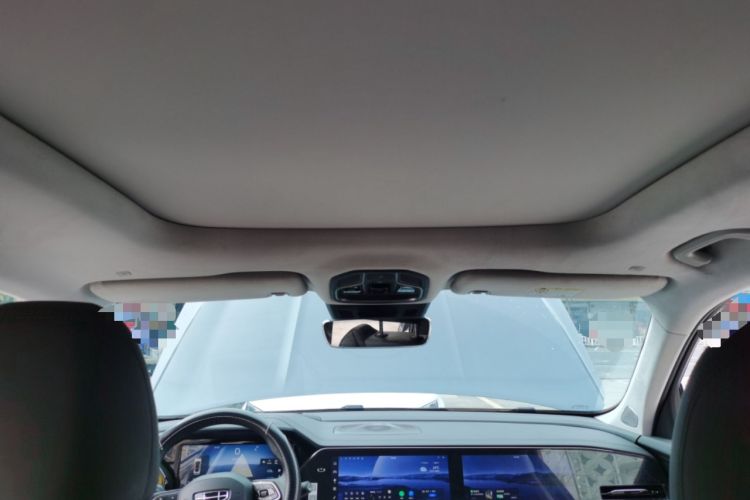 Used Geely Auto Monjaro L 2024 2.0TD High-Power Automatic Two-Wheel Drive Skyline Edition Headliner
