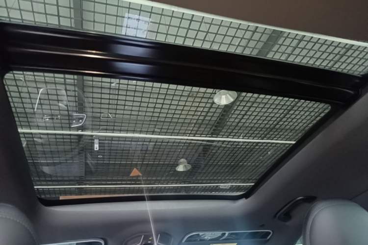 Used Geely Auto Monjaro L 2024 2.0TD DCT EVO Two-Wheel Drive Long-Range Version Headliner