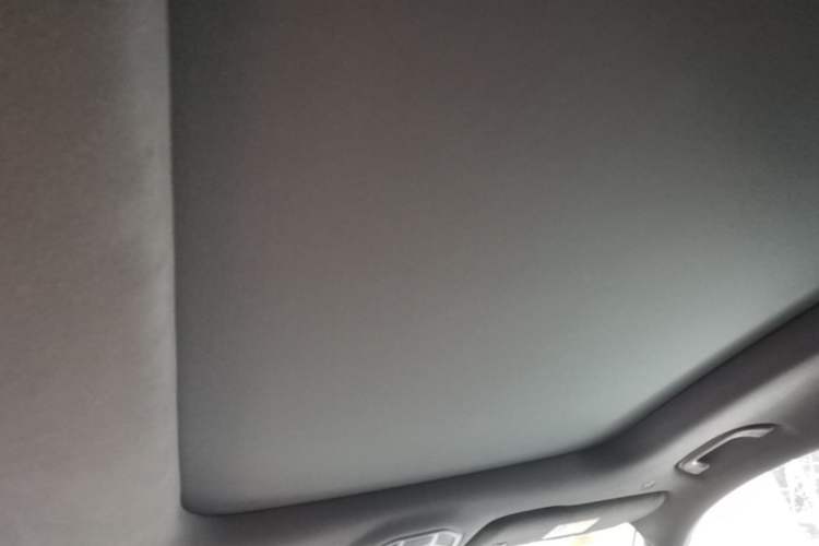 Used Geely Auto Monjaro L 2024 2.0TD High-Power Automatic Two-Wheel Drive Skyline Edition Headliner