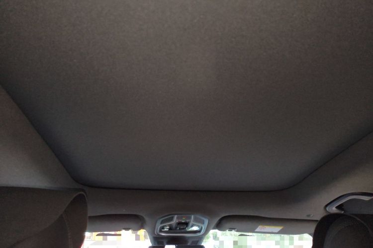 Used Geely Auto Monjaro L 2024 2.0TD High-Power Automatic Two-Wheel Drive Skyline Edition Headliner