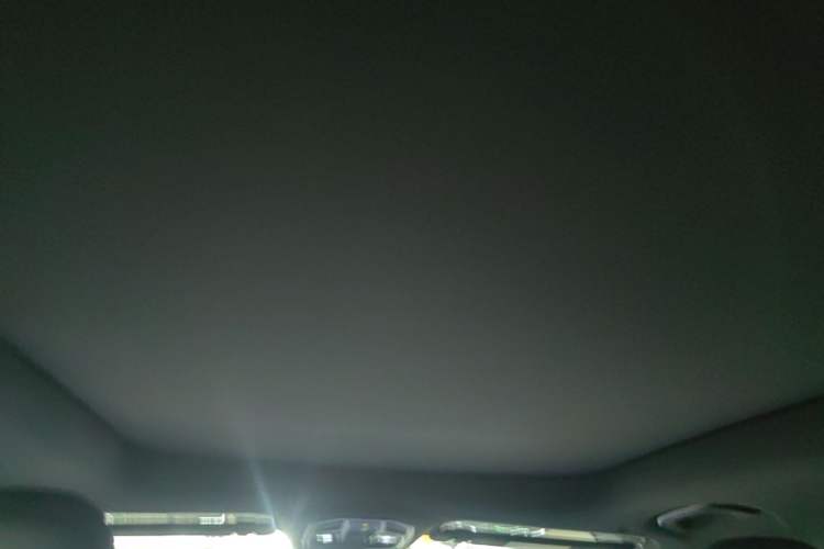 Used Geely Auto Monjaro L 2024 2.0TD DCT EVO Two-Wheel Drive Long-Range Version Headliner