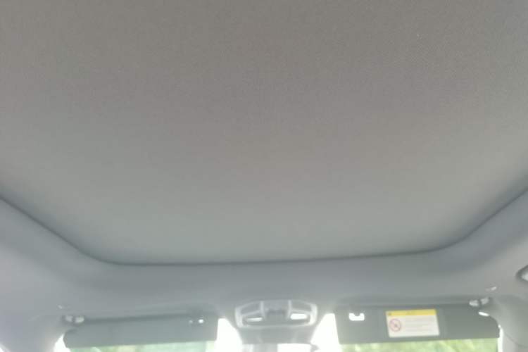 Used Geely Auto Monjaro L 2024 2.0TD DCT EVO Two-Wheel Drive Long-Range Version Headliner