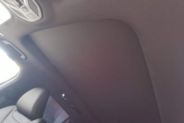 Used Geely Auto Monjaro L 2024 2.0TD DCT EVO Two-Wheel Drive Long-Range Version Headliner