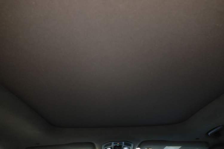 Used Geely Auto Monjaro L 2024 2.0TD High-Power Automatic Two-Wheel Drive Skyline Edition Headliner