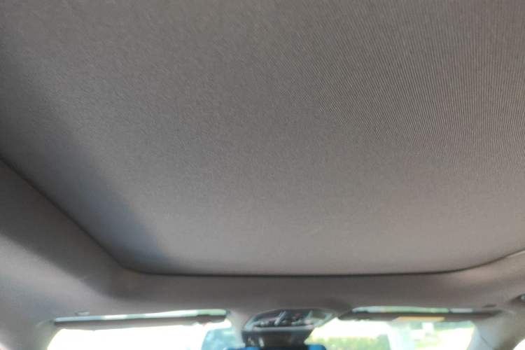 Used Geely Auto Monjaro L 2024 2.0TD DCT EVO Two-Wheel Drive Long-Range Version Headliner