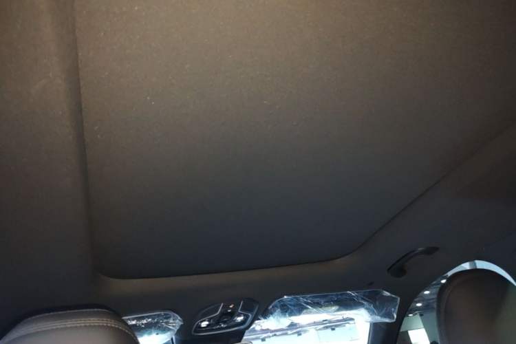Used Geely Auto Monjaro L 2024 2.0TD DCT EVO Two-Wheel Drive Long-Range Version Headliner