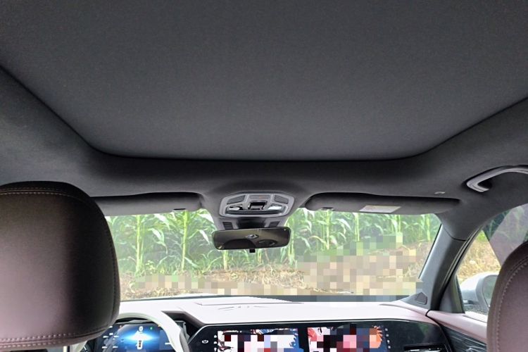 Used Geely Auto Monjaro L 2024 2.0TD High-Power Automatic Two-Wheel Drive Yunqi Version Headliner