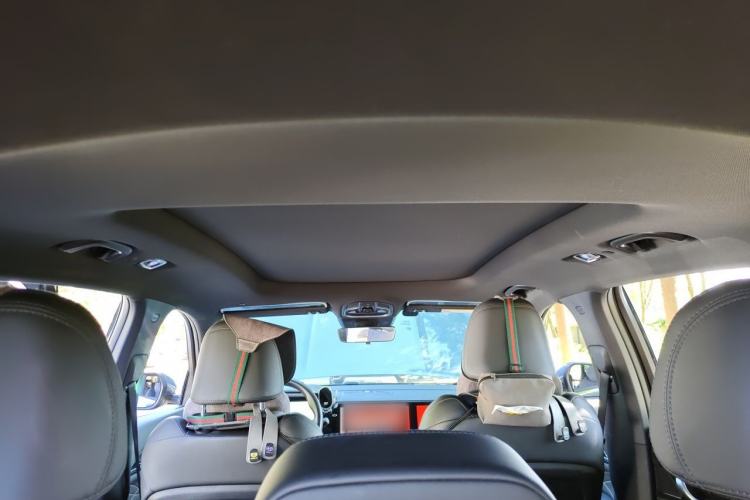 Used Geely Auto Monjaro L 2024 2.0TD DCT EVO Two-Wheel Drive Long-Range Version Headliner