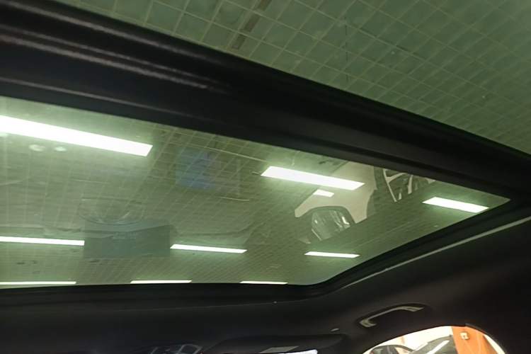 Used Geely Auto Monjaro L 2024 2.0TD High-Power Automatic Two-Wheel Drive Skyline Edition Headliner