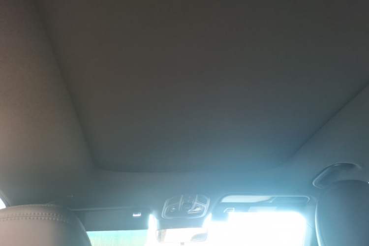 Used Geely Auto Monjaro L 2024 2.0TD DCT EVO Two-Wheel Drive Long-Range Version Headliner