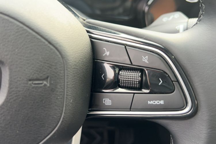 Used Geely Auto Monjaro L 2024 2.0TD High-Power Automatic Two-Wheel Drive Skyline Edition Interior 9