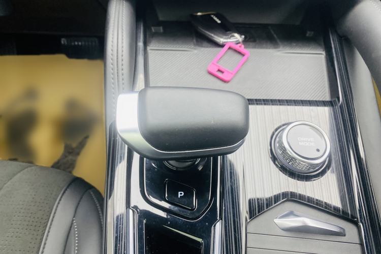 Used Geely Auto Monjaro L 2024 2.0TD High-Power Automatic Two-Wheel Drive Skyline Edition Interior 9