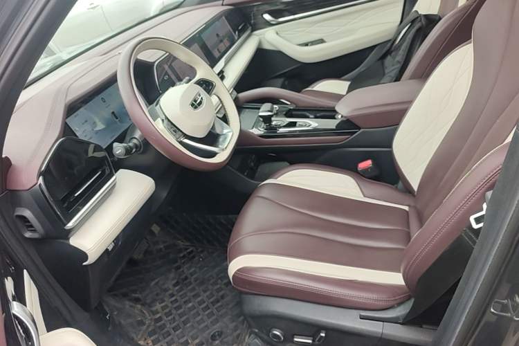 Used Geely Auto Monjaro L 2024 2.0TD High-Power Automatic Two-Wheel Drive Yunqi Version Left Front Seat