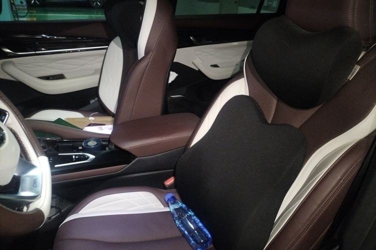 Used Geely Auto Monjaro L 2024 2.0TD High-Power Automatic Two-Wheel Drive Yunqi Version Left Front Seat
