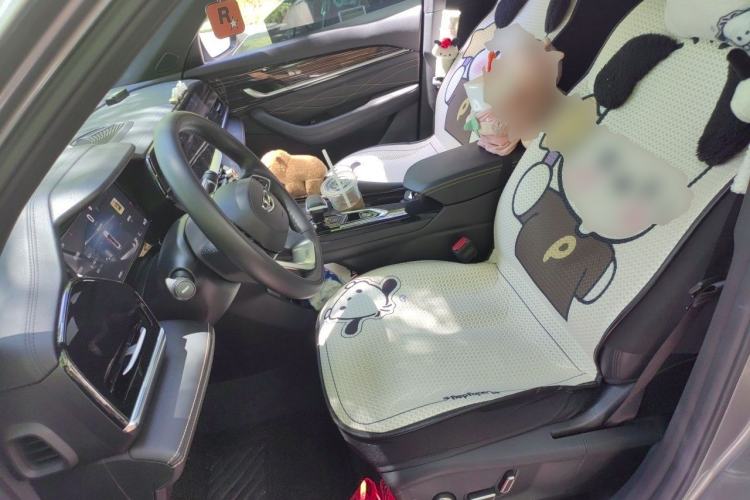 Used Geely Auto Monjaro L 2024 2.0TD DCT EVO Two-Wheel-Drive Luxury Version Left Front Seat