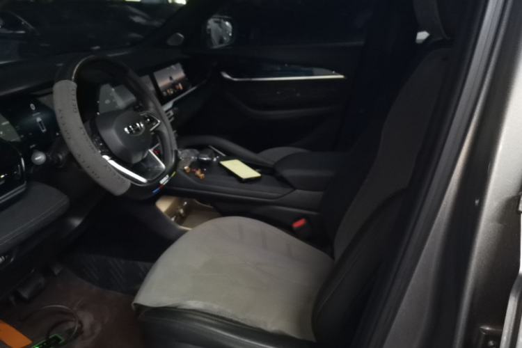 Used Geely Auto Monjaro L 2024 2.0TD High-Power Automatic Two-Wheel Drive Skyline Edition Left Front Seat