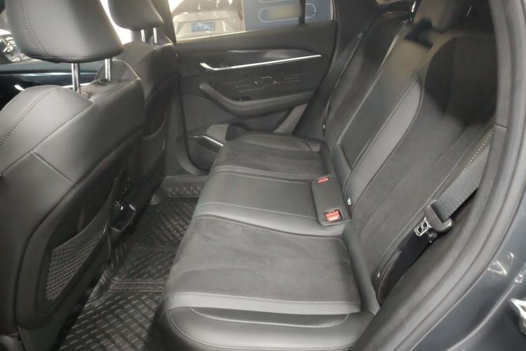 Used Geely Auto Monjaro L 2024 2.0TD High-Power Automatic Two-Wheel Drive Skyline Edition Left Rear Seat