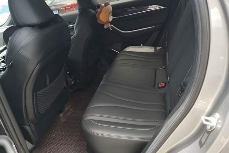 Used Geely Auto Monjaro L 2024 2.0TD DCT EVO Two-Wheel Drive Long-Range Version Left Rear Seat