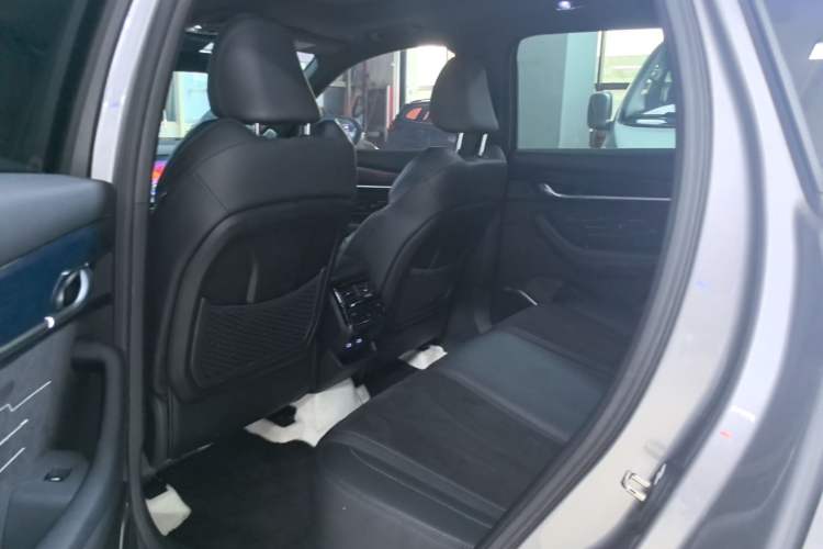 Used Geely Auto Monjaro L 2024 2.0TD High-Power Automatic Two-Wheel Drive Skyline Edition Left Rear Seat