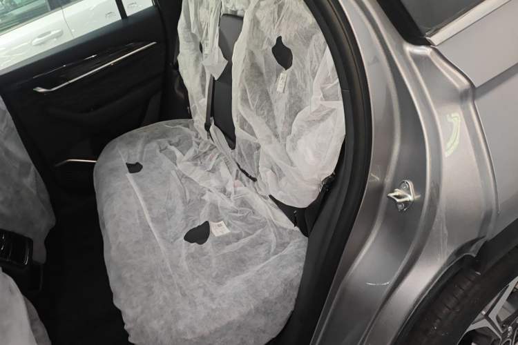 Used Geely Auto Monjaro L 2024 2.0TD DCT EVO Two-Wheel Drive Long-Range Version Left Rear Seat