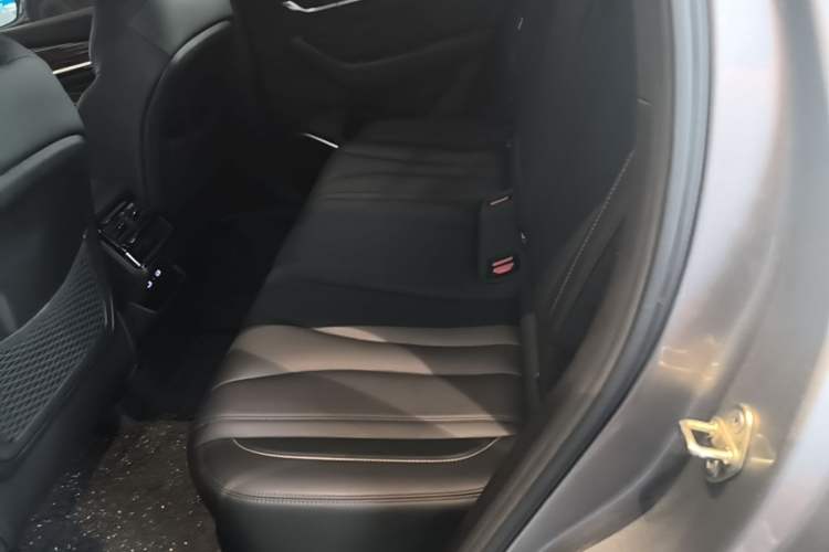Used Geely Auto Monjaro L 2024 2.0TD DCT EVO Two-Wheel Drive Long-Range Version Left Rear Seat