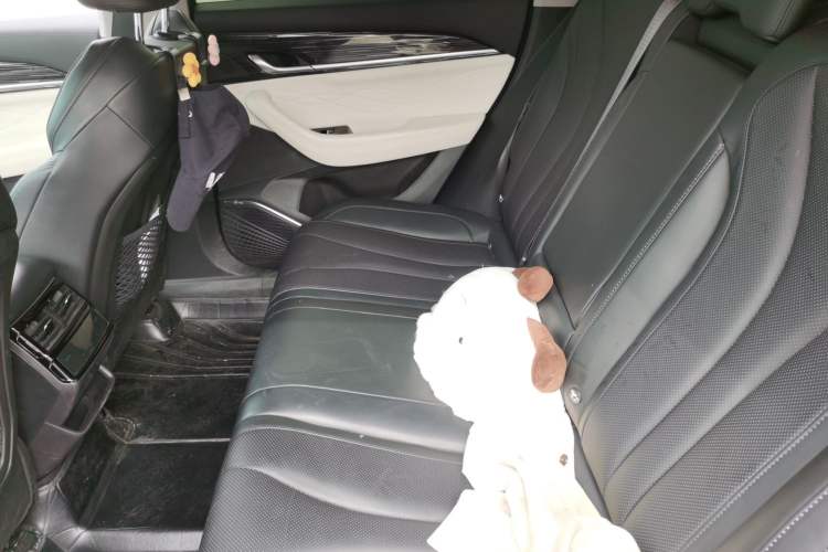 Used Geely Auto Monjaro L 2024 2.0TD High-Power Automatic Two-Wheel Drive Skyline Edition Left Rear Seat