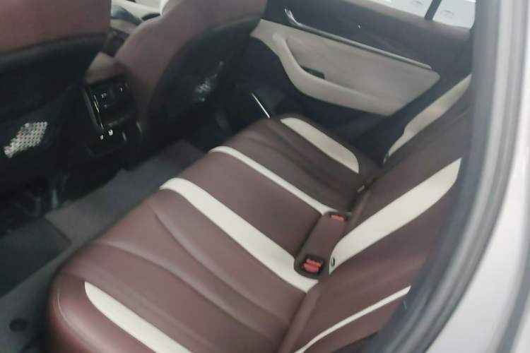Used Geely Auto Monjaro L 2024 2.0TD High-Power Automatic Two-Wheel Drive Yunqi Version Left Rear Seat