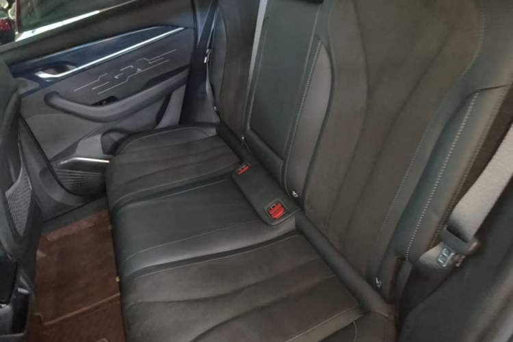 Used Geely Auto Monjaro L 2024 2.0TD High-Power Automatic Two-Wheel Drive Skyline Edition Left Rear Seat