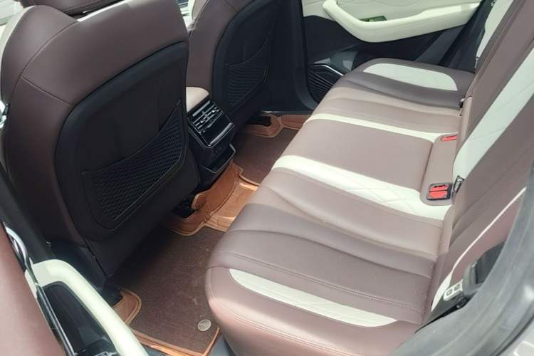 Used Geely Auto Monjaro L 2024 2.0TD High-Power Automatic Two-Wheel Drive Yunqi Version Left Rear Seat