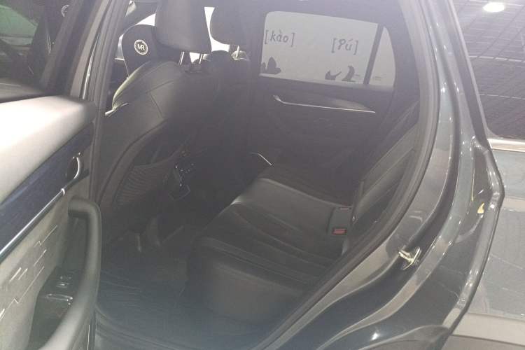 Used Geely Auto Monjaro L 2024 2.0TD High-Power Automatic Two-Wheel Drive Skyline Edition Left Rear Seat