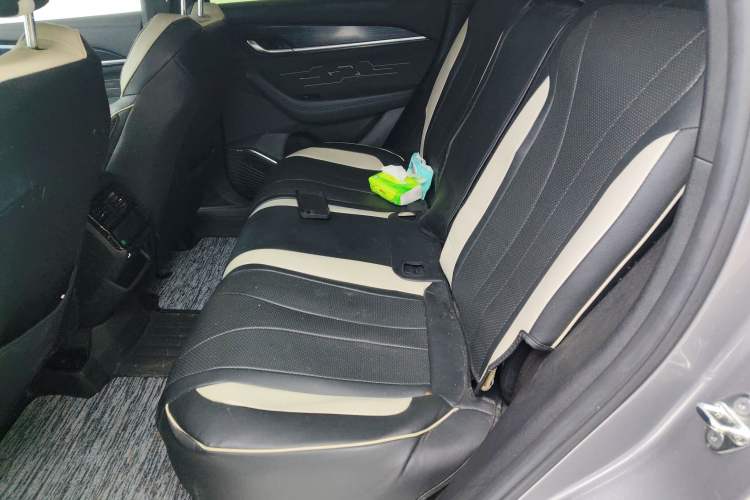 Used Geely Auto Monjaro L 2024 2.0TD High-Power Automatic Two-Wheel Drive Skyline Edition Left Rear Seat