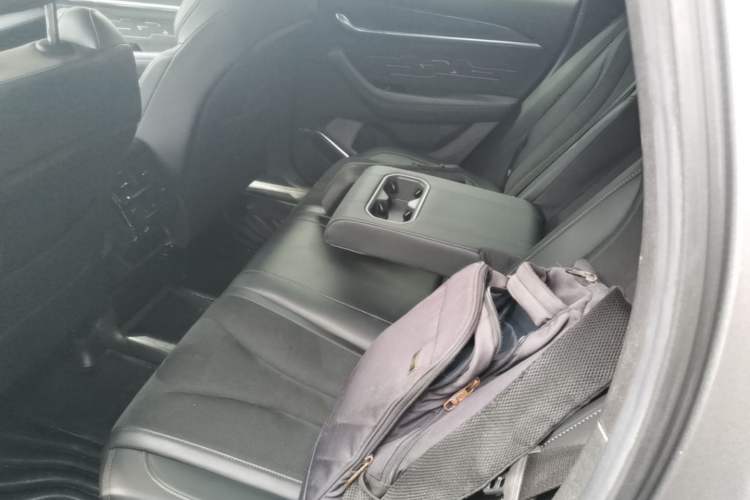 Used Geely Auto Monjaro L 2024 2.0TD High-Power Automatic Two-Wheel Drive Skyline Edition Left Rear Seat