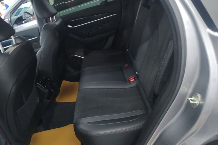 Used Geely Auto Monjaro L 2024 2.0TD High-Power Automatic Two-Wheel Drive Skyline Edition Left Rear Seat