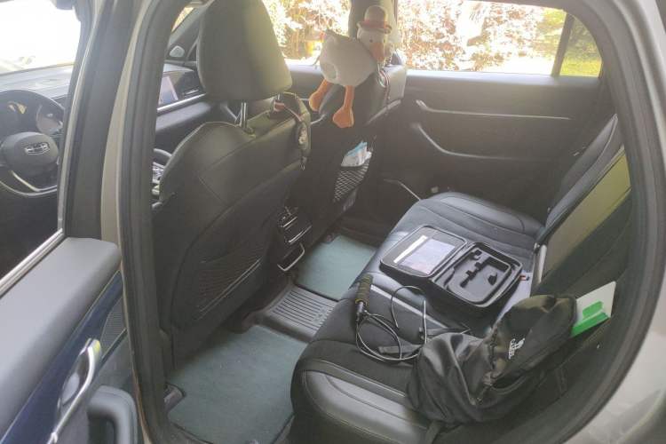 Used Geely Auto Monjaro L 2024 2.0TD High-Power Automatic Two-Wheel Drive Skyline Edition Left Rear Seat