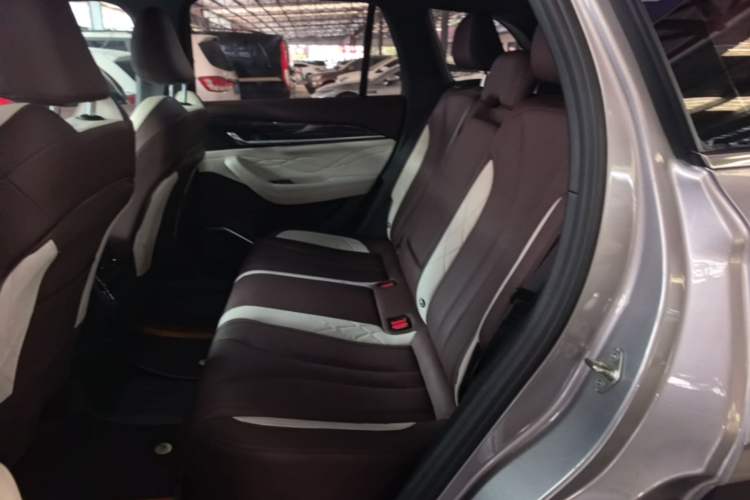 Used Geely Auto Monjaro L 2024 2.0TD High-Power Automatic Two-Wheel Drive Yunqi Version Left Rear Seat