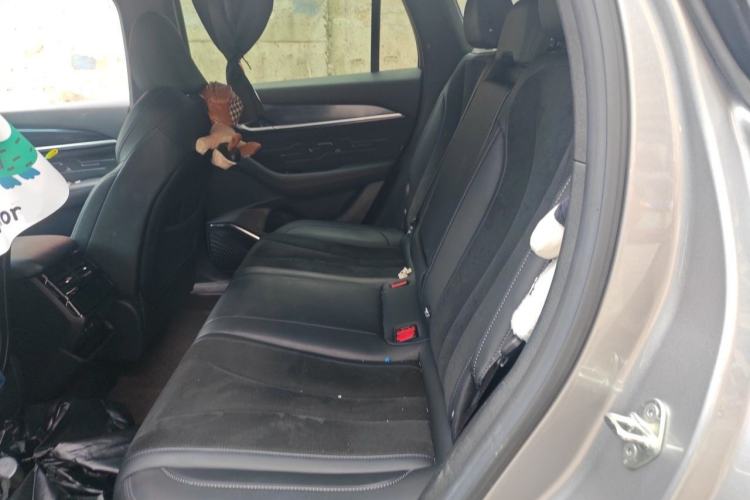 Used Geely Auto Monjaro L 2024 2.0TD High-Power Automatic Two-Wheel Drive Skyline Edition Left Rear Seat