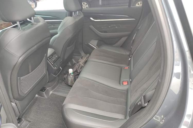 Used Geely Auto Monjaro L 2024 2.0TD High-Power Automatic Two-Wheel Drive Skyline Edition Left Rear Seat