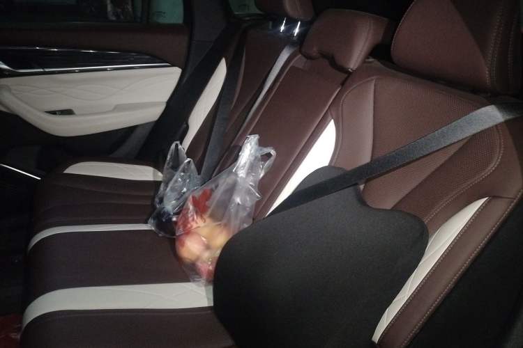 Used Geely Auto Monjaro L 2024 2.0TD High-Power Automatic Two-Wheel Drive Yunqi Version Left Rear Seat
