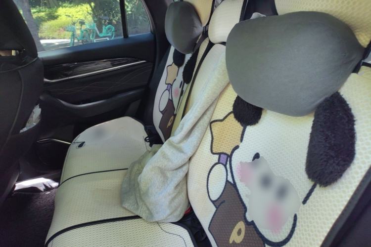 Used Geely Auto Monjaro L 2024 2.0TD DCT EVO Two-Wheel-Drive Luxury Version Left Rear Seat