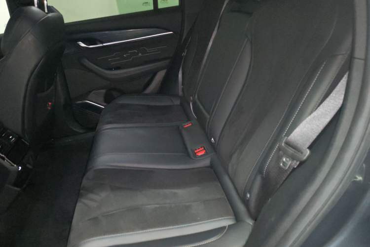 Used Geely Auto Monjaro L 2024 2.0TD High-Power Automatic Two-Wheel Drive Skyline Edition Left Rear Seat