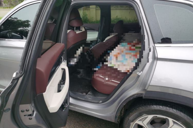 Used Geely Auto Monjaro L 2024 2.0TD High-Power Automatic Two-Wheel Drive Yunqi Version Left Rear Seat
