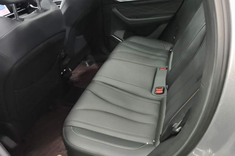Used Geely Auto Monjaro L 2024 2.0TD DCT EVO Two-Wheel Drive Long-Range Version Left Rear Seat