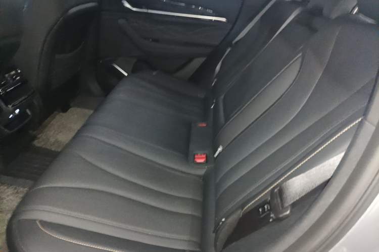 Used Geely Auto Monjaro L 2024 2.0TD DCT EVO Two-Wheel Drive Long-Range Version Left Rear Seat